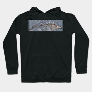 Ichthyosaur fossil (C030/0747) Hoodie